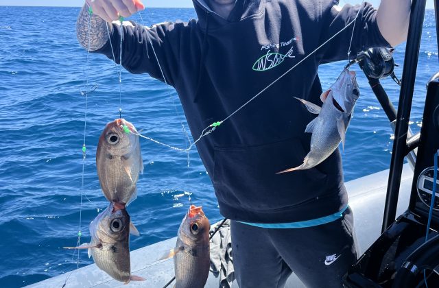 Bolentino di profondita'- Deep Fishing - 6 hour