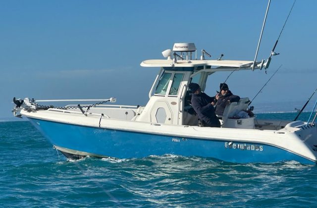 Battuta di pesca sottocosta di 4 ore