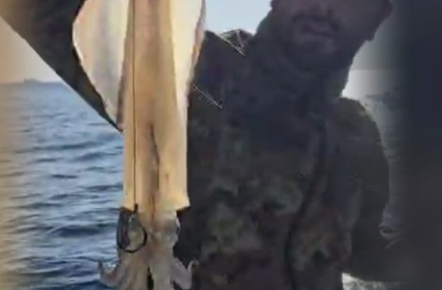 ​🦑 Pesca a Calamari e Seppie: La Magia della Notte e del Crepuscolo