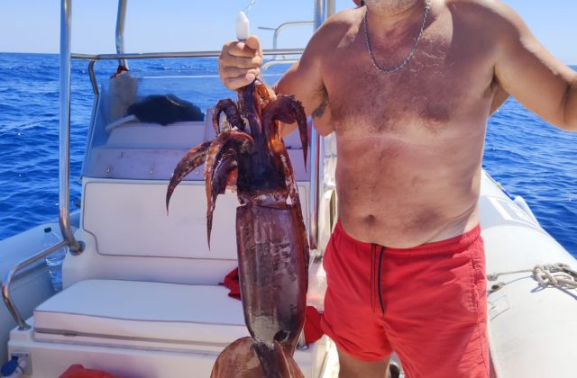 🦑🌊 A CACCIA DEL TOTANO GIGANTE! 🎣