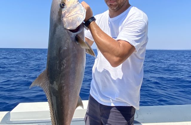 Traina di fondo | Pesca con esca viva GIORNATA INTERA