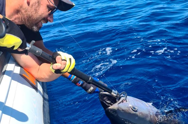 Drifting al tonno rosso in Salento| Tuna fishing GIORNATA INTERA
